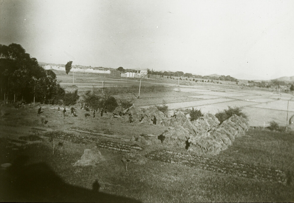 Presbyterian Canton Villages Mission &ndash; Planting Fruit Trees, Preachers, and Tak Kei School