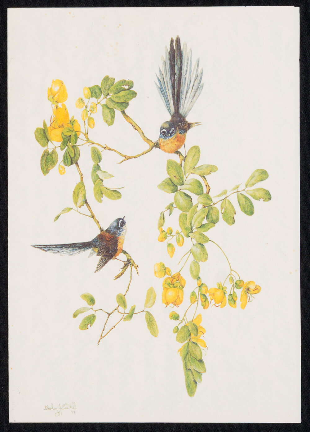 Greeting Card Addressed to Irene from [Violet] Jones Noting the Passing of Piki Rātana