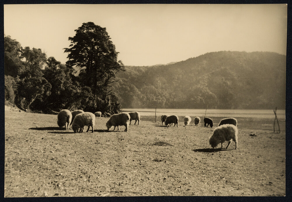 Sister Rita F. Snowden - Photographs by Rita Snowden Used as Book Illustrations [Part 3 of 9]