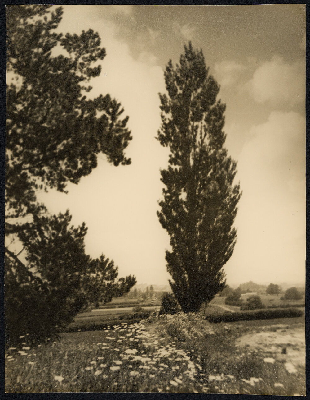 Sister Rita F. Snowden - Photographs by Rita Snowden Used as Book Illustrations [Part 7 of 9]