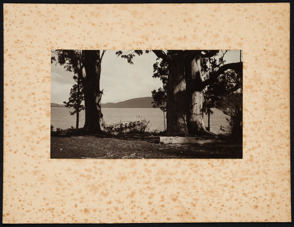 Sister Rita F. Snowden - Photographs by Rita Snowden Used as Book Illustrations [Part 9 of 9]