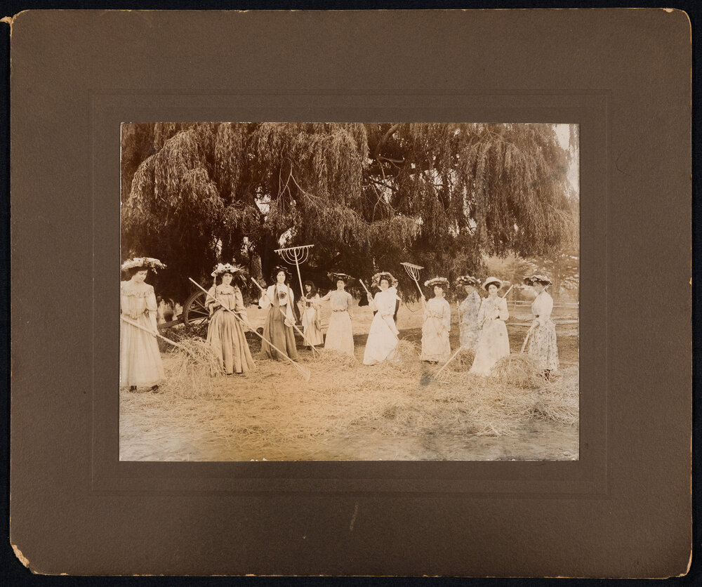 Sydenham Methodist Church - Women Harvesting Hay, Golden Jubilee Cake, and Formal Group Photograph of Sunday School Teachers