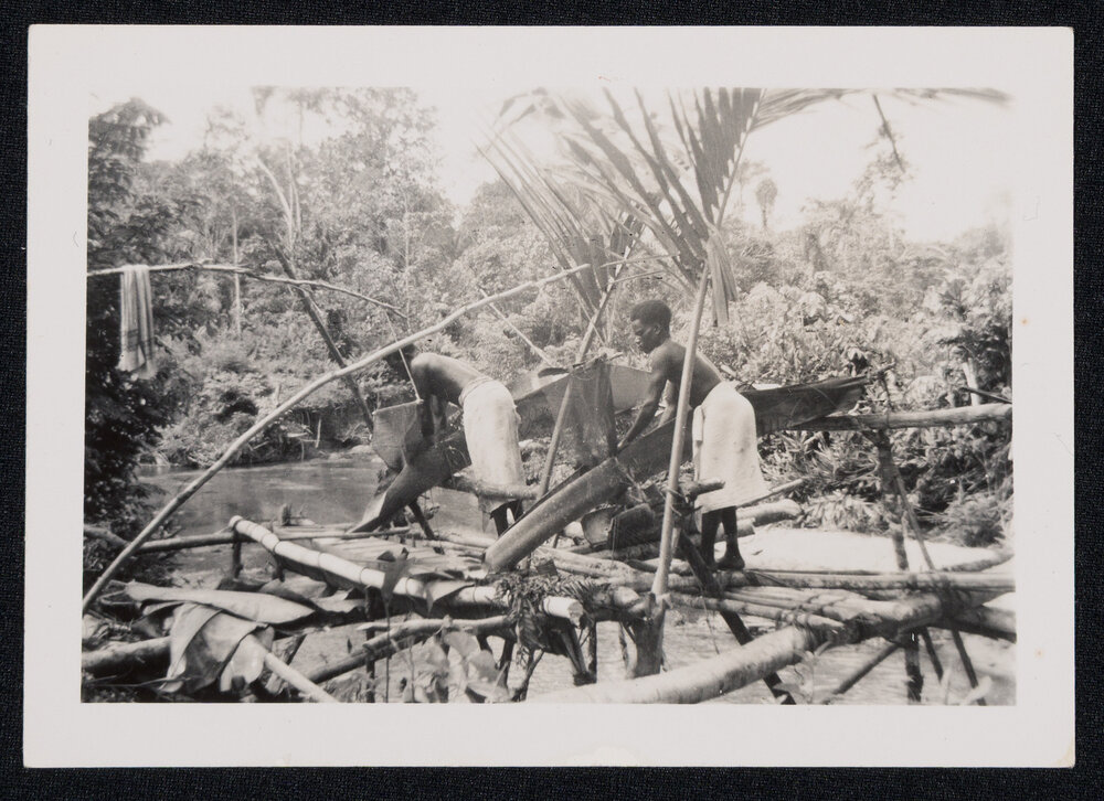 Sister Mary Addison - Tonu, Papua New Guinea - Preparing Sago for Saksak [a traditional sweet dumpling], Christmas Day, Missionaries and Local People