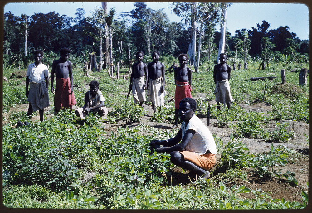 Sister Mary Addison - Tonu, Papua New Guinea - Various - Slides