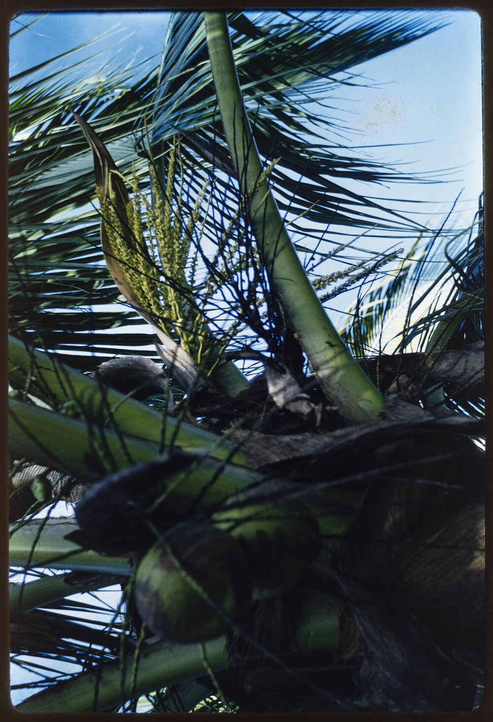 Sister Mary Addison - Tonu, Papua New Guinea - Girl's Life Brigade and MAF Plane - Slides