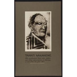 Wāka Nene, Tāmati