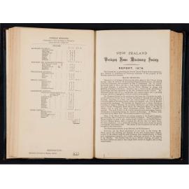 New Zealand Wesleyan Home Missionary Society Report 1878