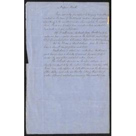 Auckland Circuit – Auckland Native Work