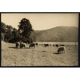 Sister Rita F. Snowden - Photographs by Rita Snowden Used as Book Illustrations [Part 3 of 9]