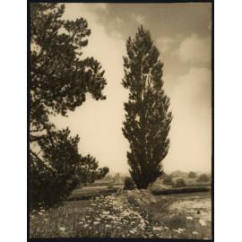 Sister Rita F. Snowden - Photographs by Rita Snowden Used as Book Illustrations [Part 7 of 9]