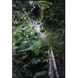 Sister Mary Addison - Tonu, Papua New Guinea - Synod and Maternity Ward - Slides